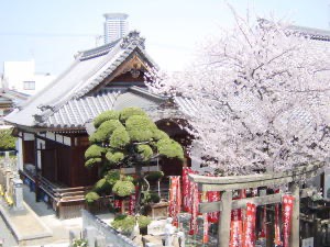 常光円満寺の境内