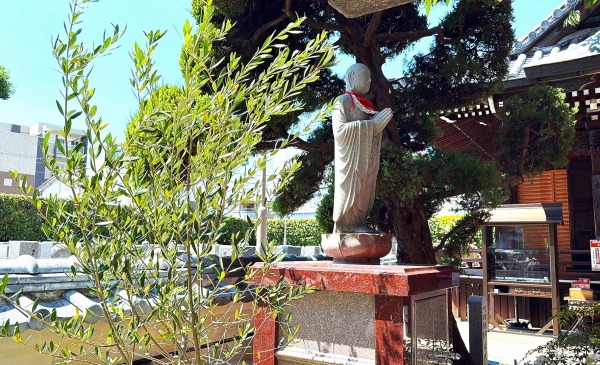 樹木葬