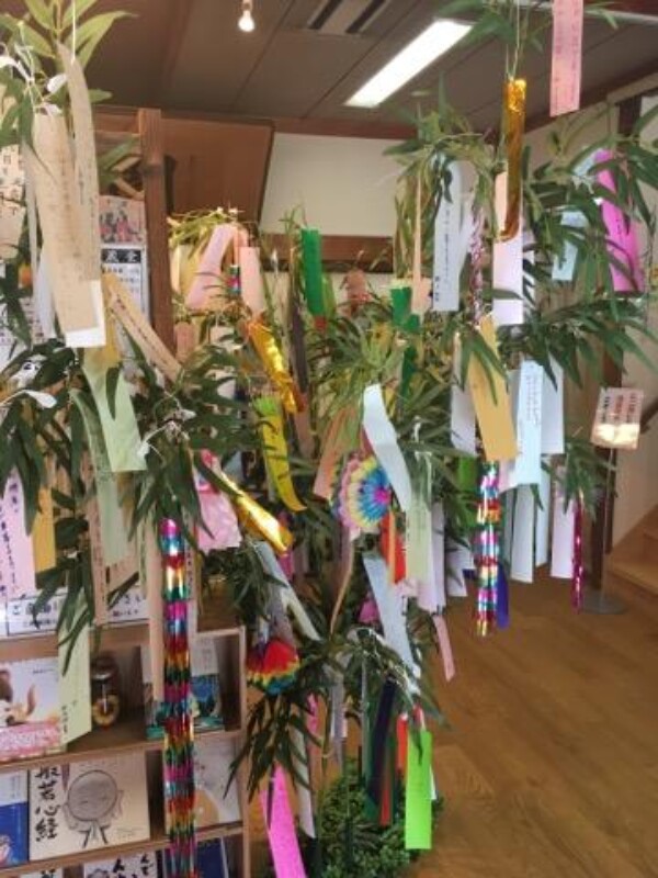 もうすぐ七夕🎋サムネイル