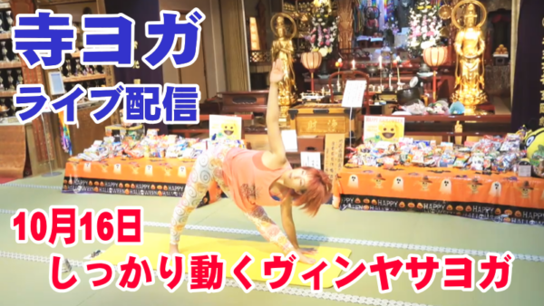 【寺ヨガ】ライブ　しっかり動くヴィンヤサヨガサムネイル