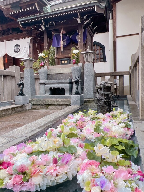【花手水】水の神様、弁天堂がお花畑に｜常光円満寺（大阪吹田）サムネイル