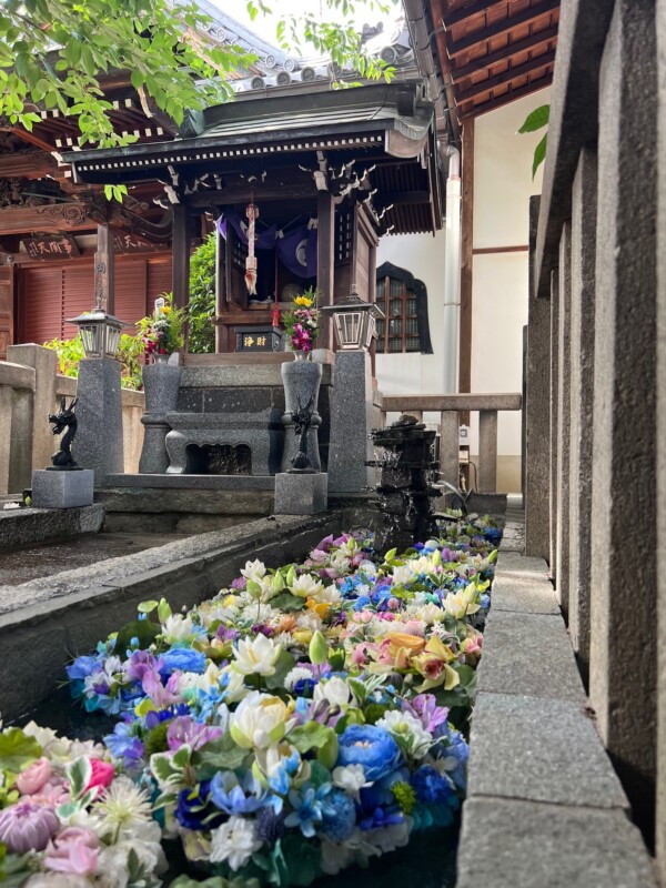 【弁天堂】美しい花に包まれる金運・学問・美人祈願の神様｜常光円満寺（大阪吹田）サムネイル