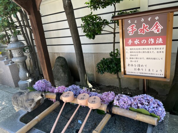【花手水】あじさいに包まれて｜常光円満寺（大阪吹田）サムネイル