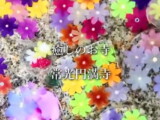 【手水舎】優しい気持ちになれる常光円満寺の花手水🌸サムネイル