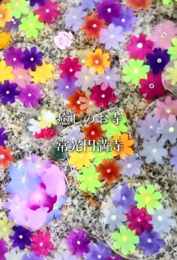 【手水舎】優しい気持ちになれる常光円満寺の花手水🌸サムネイル