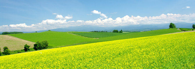 やすらぎの風景