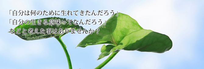自分は何のために生まれてきたんだろう
